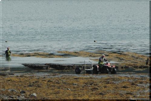 oyster farmers